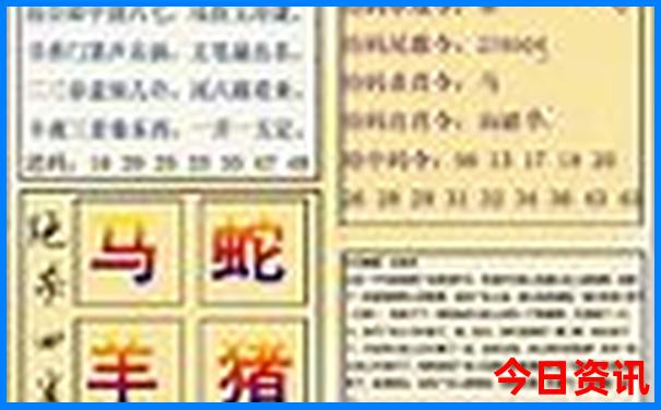 85岁老人适合什么旅行